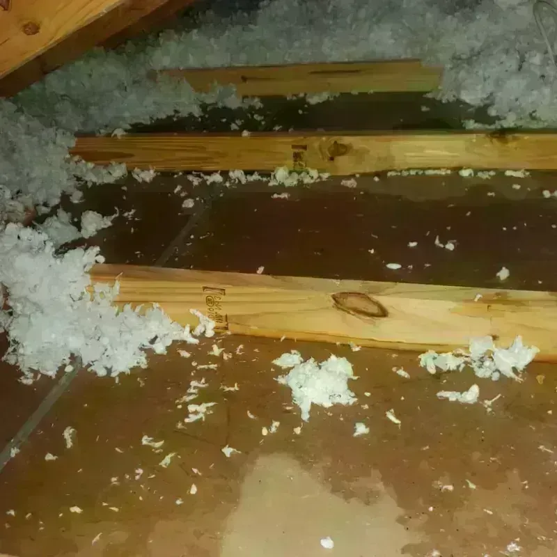 Attic Water Damage in Mineral Wells, TX