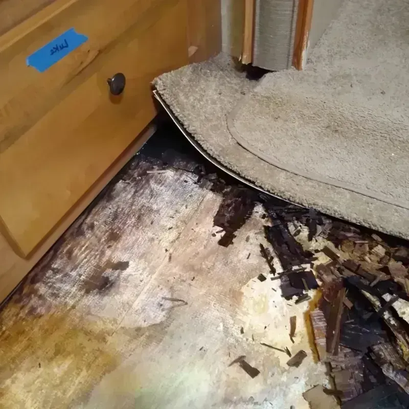 Best Wood Floor Water Damage Service in Mineral Wells, TX